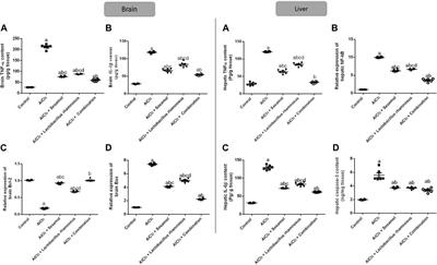 The protective effects of sesamol and/or the probiotic, Lactobacillus rhamnosus, against aluminum chloride-induced neurotoxicity and hepatotoxicity in rats: Modulation of Wnt/β-catenin/GSK-3β, JAK-2/STAT-3, PPAR-γ, inflammatory, and apoptotic pathways